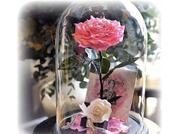 Роза под куполом - сказка от The One Rose