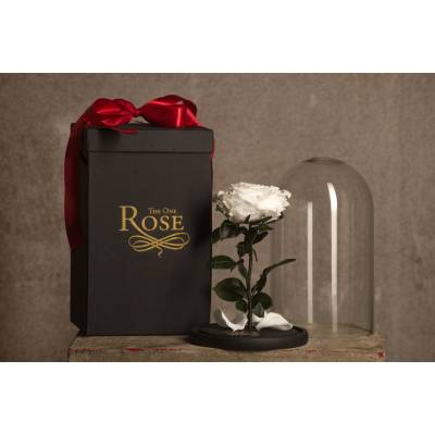 Роза под куполом - почему это идеальный подарок? 